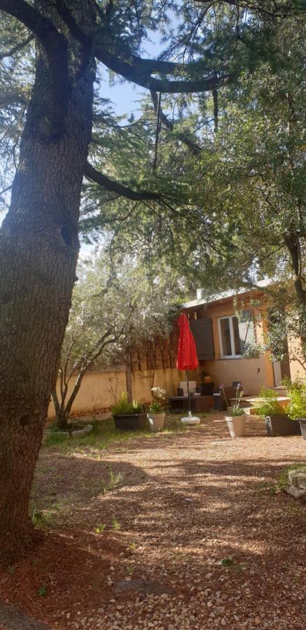 La Vigne Et L'Olivier Apartamento Villeneuve-lès-Avignon Exterior foto