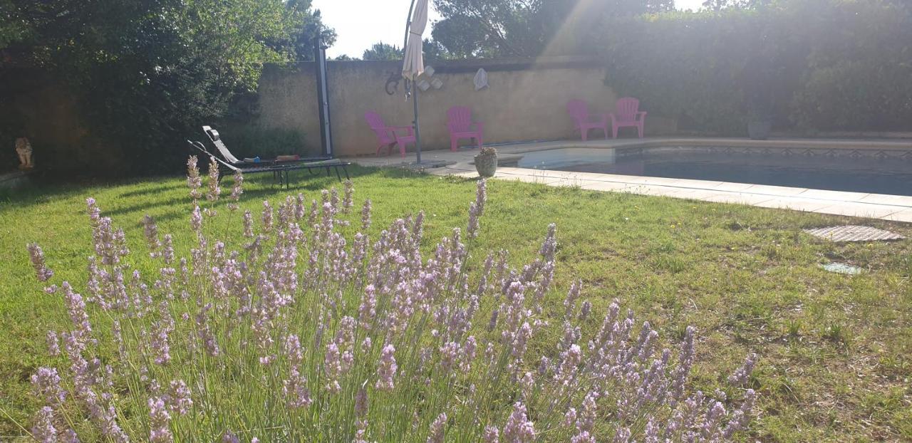 La Vigne Et L'Olivier Apartamento Villeneuve-lès-Avignon Exterior foto